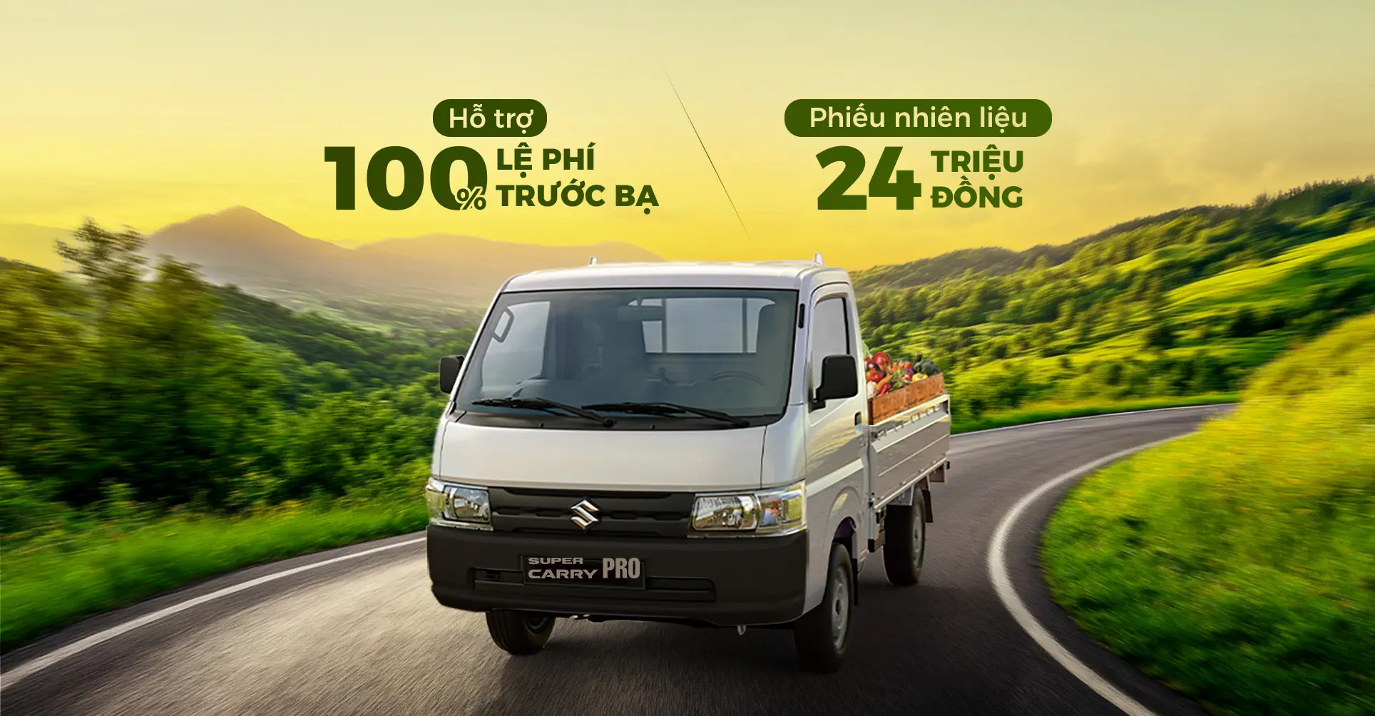 LĂN BÁNH MÙA HÈ, CHỌN PRO CHỞ KHỎE